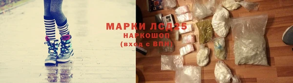 мяу мяу мука Верея