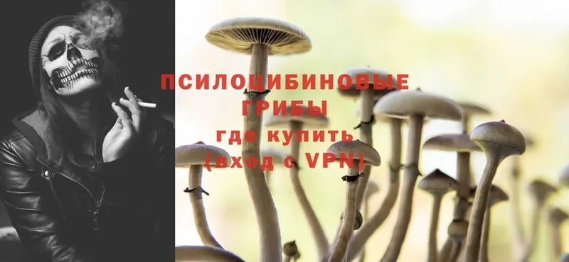 Галлюциногенные грибы Psilocybe  Мирный 