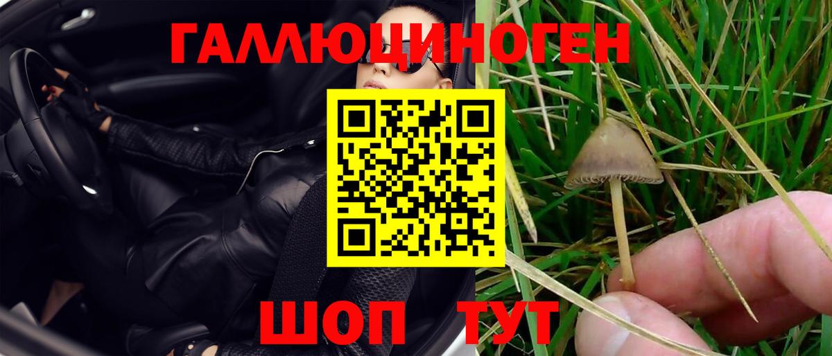 Мирный  купить наркотик  Вход с VPN  Псилоцибиновые грибы Psilocybine cubensis 