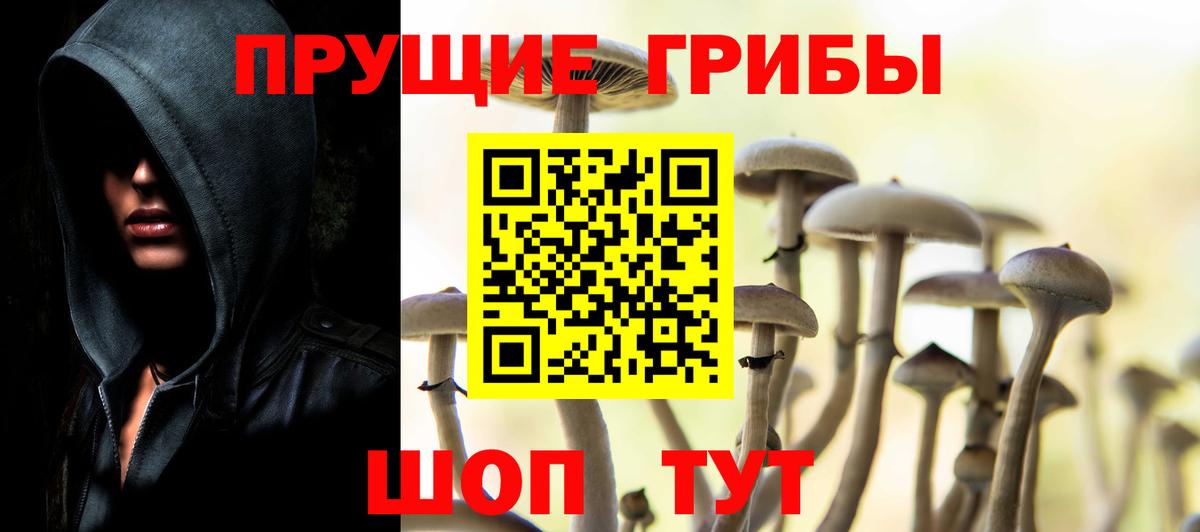 Галлюциногенные грибы мухоморы Мирный
