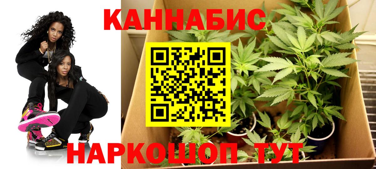 Марихуана семена  Каннабис SATIVA & INDICA  Бошки марихуана LSD WEED  Мирный  Вход с VPN 